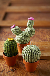 knitted cacti plants in pots on a wooden panel