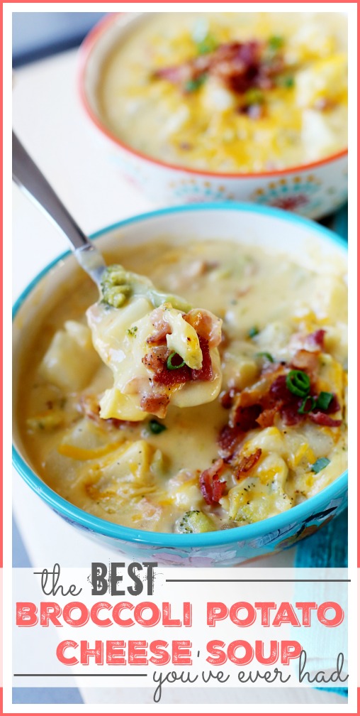 broccoli potato cheese soup best ever