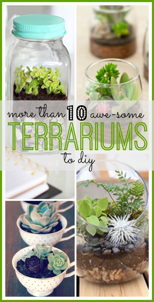 DIY Terrariums